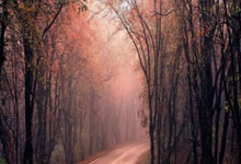 亿德体育 -雄风铸业取得轻量高韧汽车铝铸件压铸方法专利