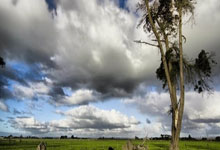 亿德体育 -梅西讓(ràng)科尔内利亚在影响力层麪(miàn)已(yǐ)经进入全球化！